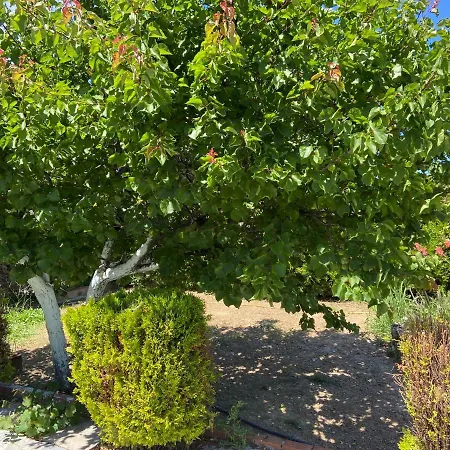 Διαμέρισμα Megisti Μουρτερή